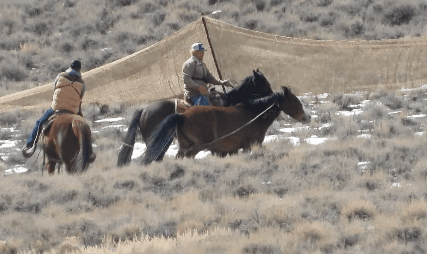 Roundup Report