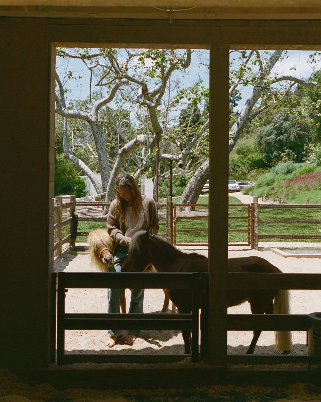 Instagram post image