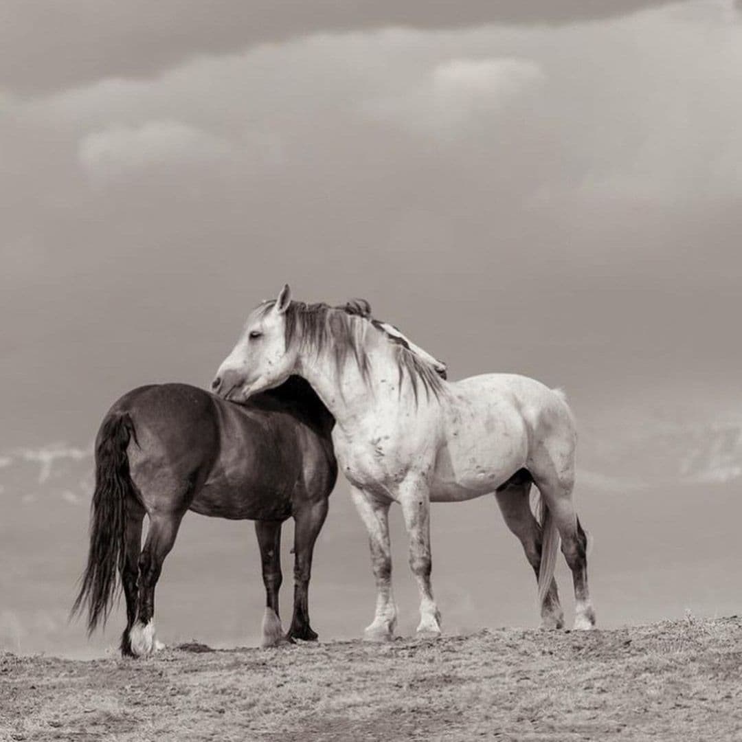 Instagram post image