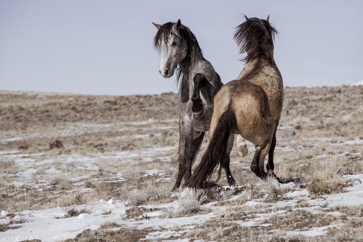 Photo by Kimerlee Curyl