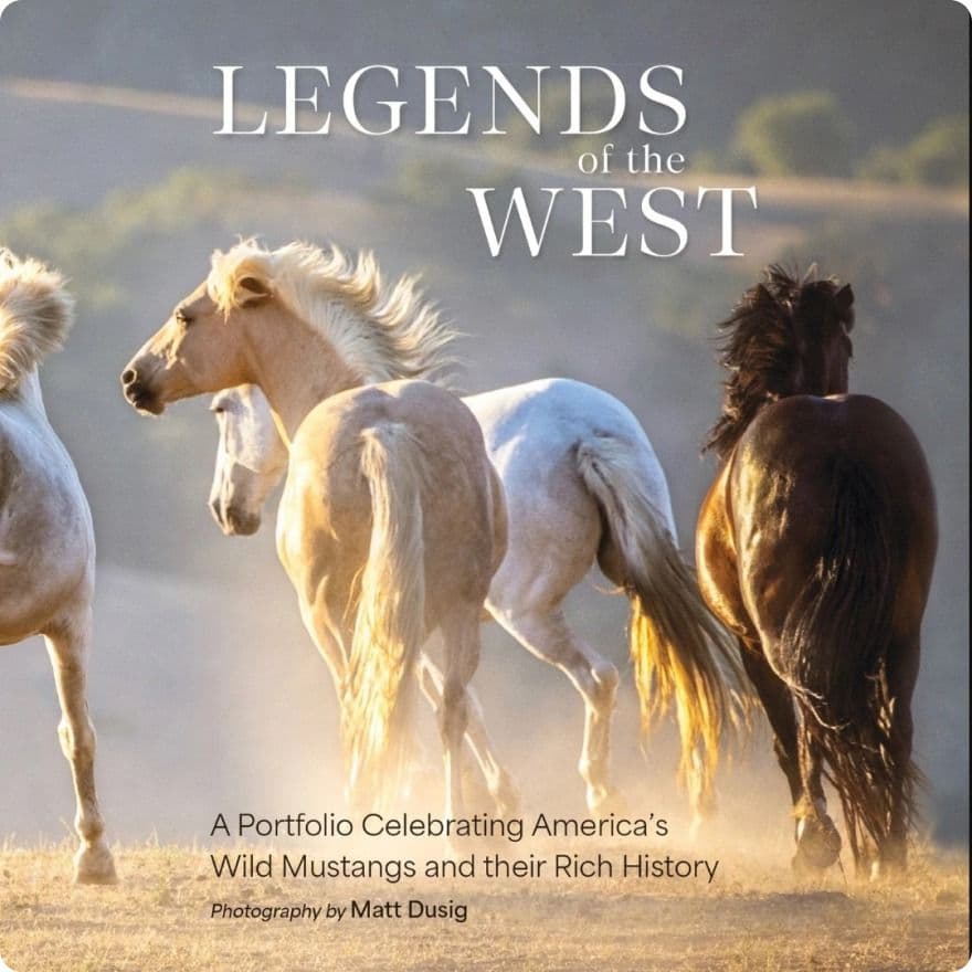 Advert Image