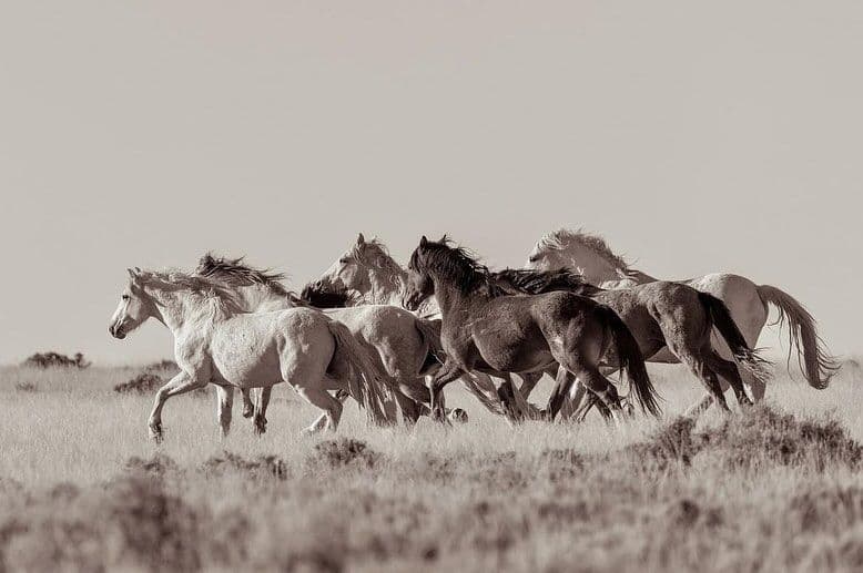 Instagram post image